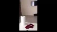 Reproducir Mierda con cuernos