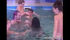 Reproducir Acto de partido político sexual estimulante