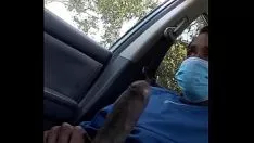 播放 为了你的小猫