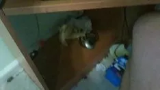 চালান মধ্যপন্থী ছেলেদের জন্য মাঝারি রাবার