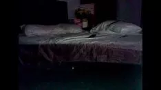 Reproduzir Brincadeiras nojentas de Slatternty com seu gatinho