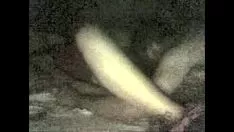 Reproducir Grabación de video823.wmv