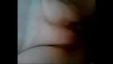 চালান পরিপক্ক বিড়াল-বিড়াল 3