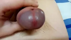 Oynat Jockers'ın siki: bdsm ve son derece hafif