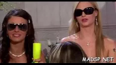 Jouer Hawt fellow acquiert tous ces chatons de douceur dont il a soif
