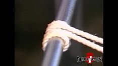 Play Bruce seven - the challenge - zara white and ed