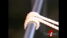 Play Bruce seven - the challenge - zara white and ed